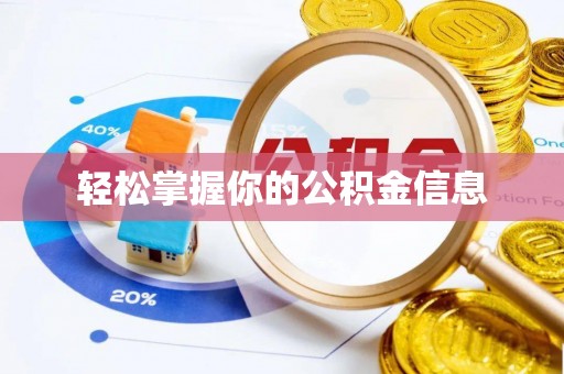 龙马潭轻松掌握你的公积金信息