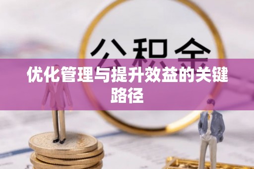 龙马潭优化管理与提升效益的关键路径