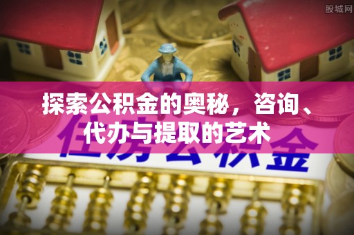 龙马潭探索公积金的奥秘，咨询、代办与提取的艺术