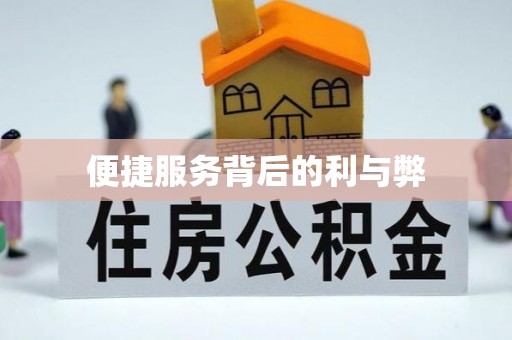 龙马潭便捷服务背后的利与弊