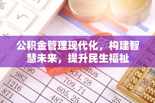龙马潭公积金管理现代化，构建智慧未来，提升民生福祉