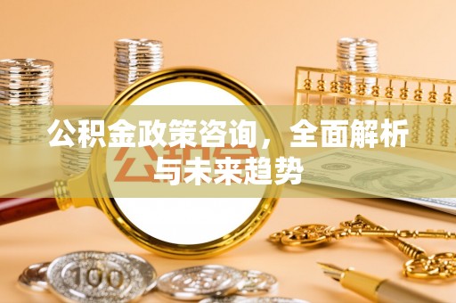 龙马潭公积金政策咨询，全面解析与未来趋势