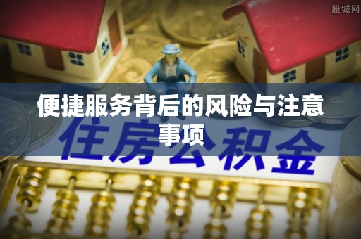 龙马潭便捷服务背后的风险与注意事项