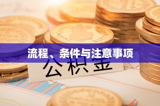 龙马潭流程、条件与注意事项