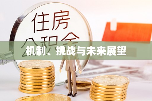 龙马潭机制、挑战与未来展望
